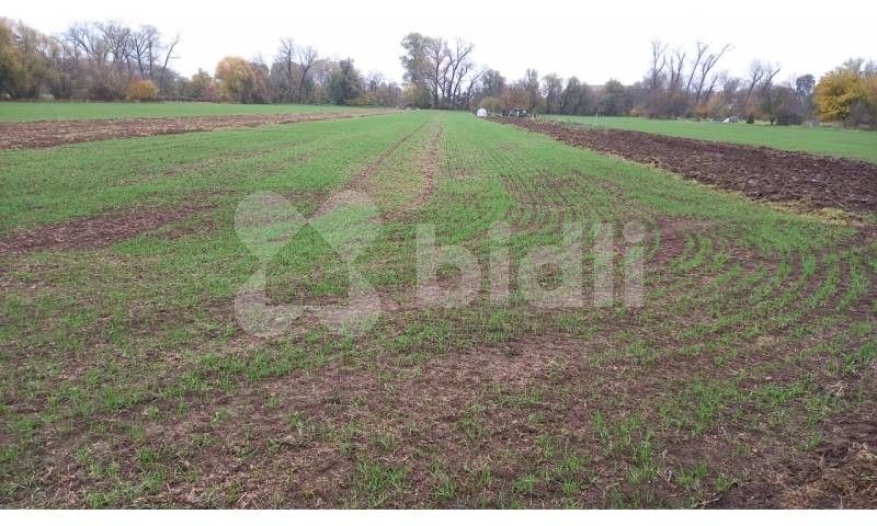 Zemědělské pozemky, Rajhrad