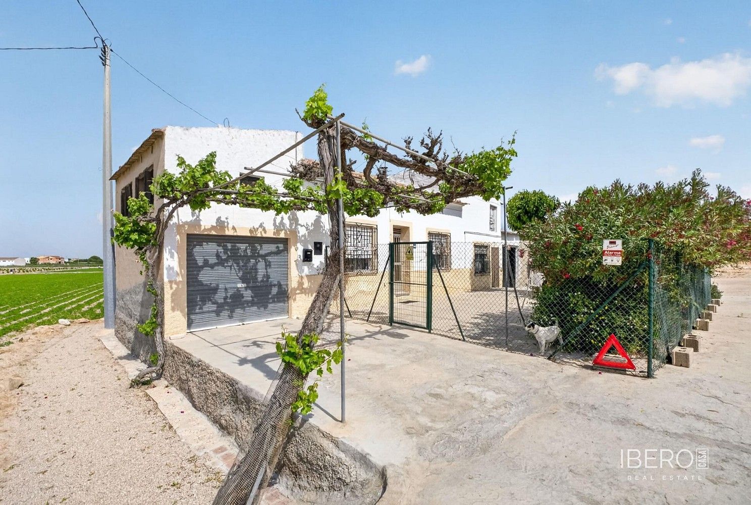 Rodinný dům · 240 m² · Orihuela, ES - 3