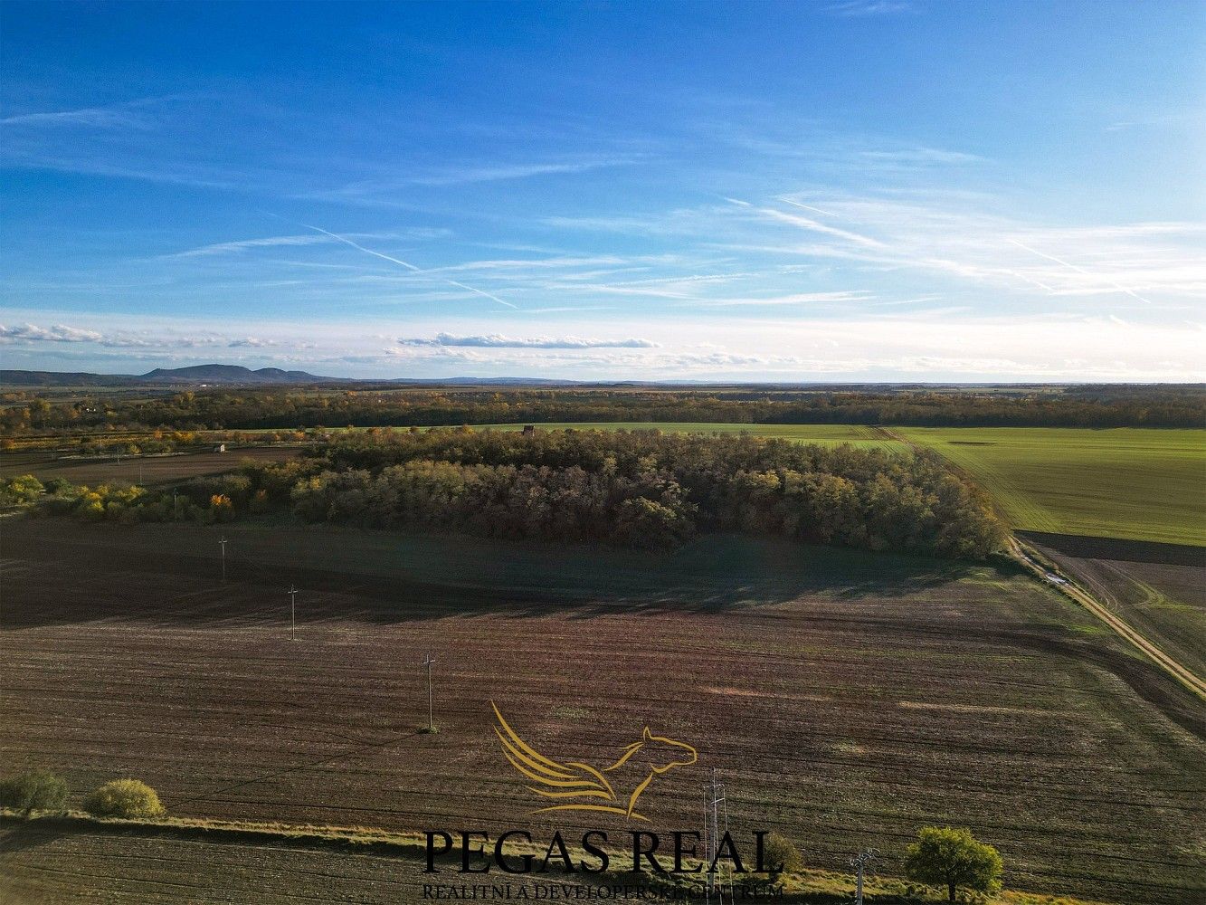 Pozemek · Hrušovany u Brna, okres Brno-venkov, Jihomoravský kraj - 3