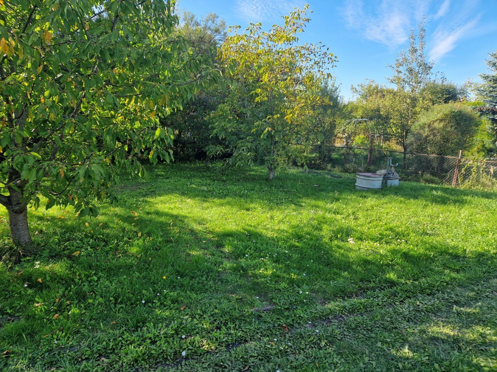 Zahrada · Pardubice - Pardubice, Pardubický kraj - 4