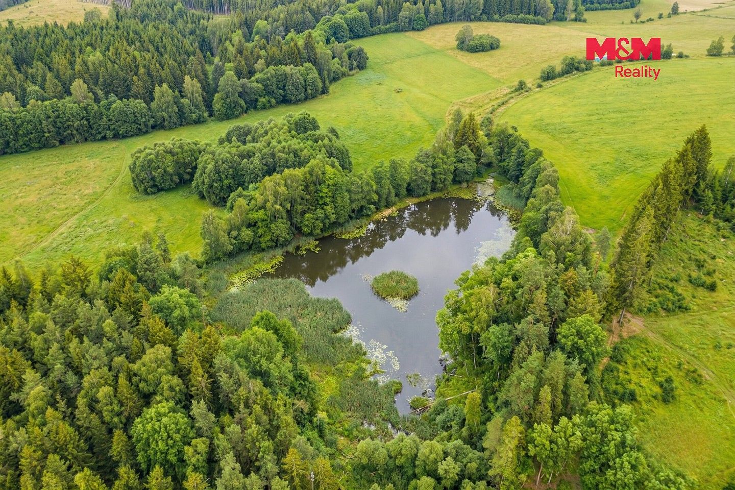 Rybník · Horní Ves, okres Pelhřimov, Kraj Vysočina - 4
