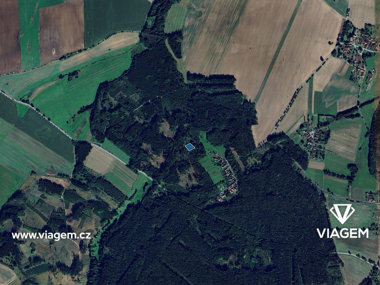 Les · Vyklantice, okres Pelhřimov, Kraj Vysočina - 3