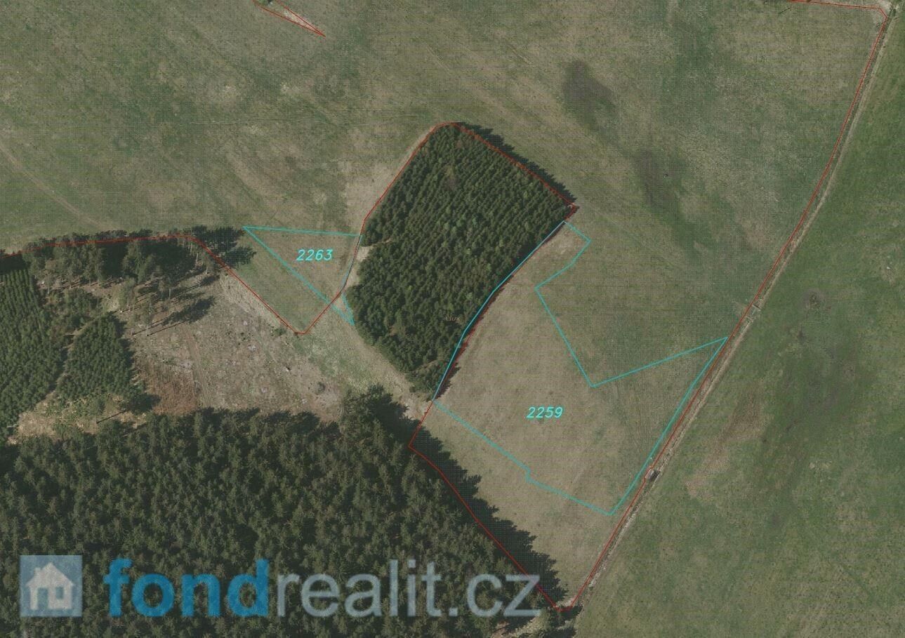 Prodej pozemek - Nová Bystřice, 10 628 m² - 5
