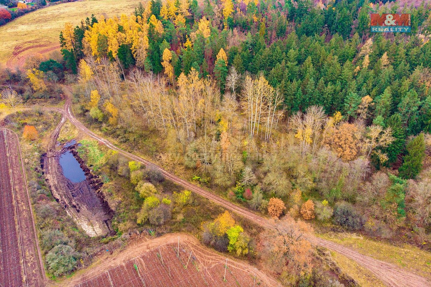 Prodej les - Tuchořice, okres Louny, Ústecký kraj - 2