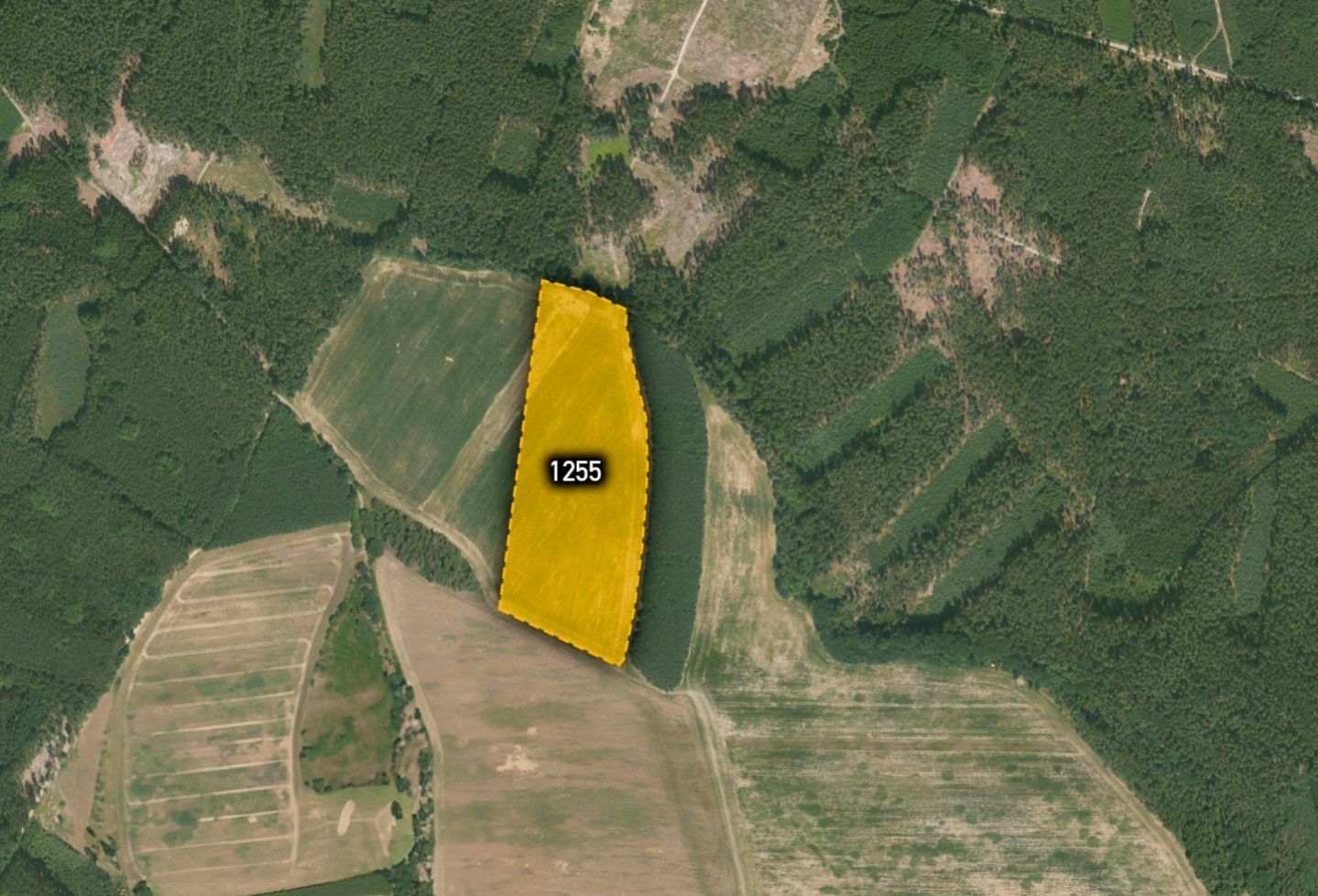 Prodej zemědělský pozemek - Přívozec, Blížejov, 25 017 m²