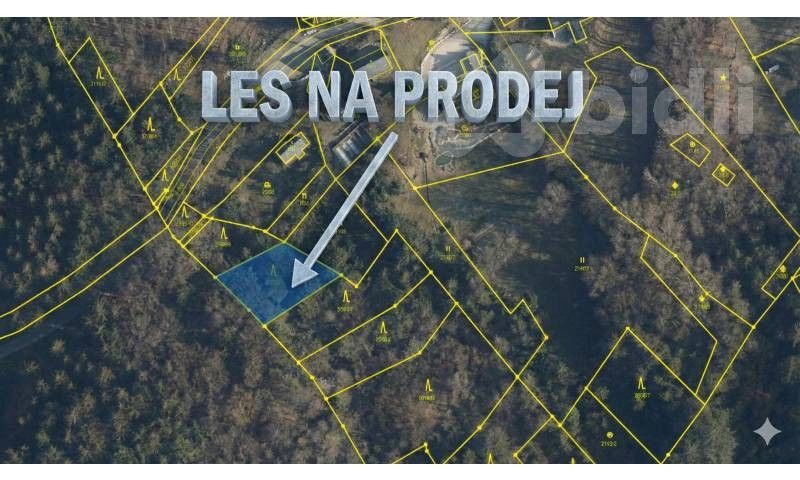 Prodej les - Šumburk nad Desnou, Tanvald