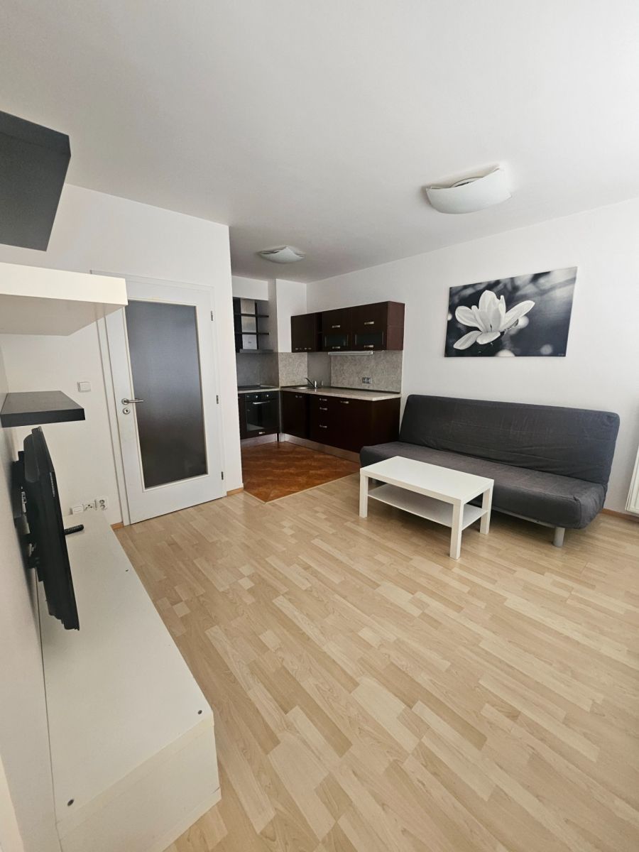 Byt 1+kk, 42 m²