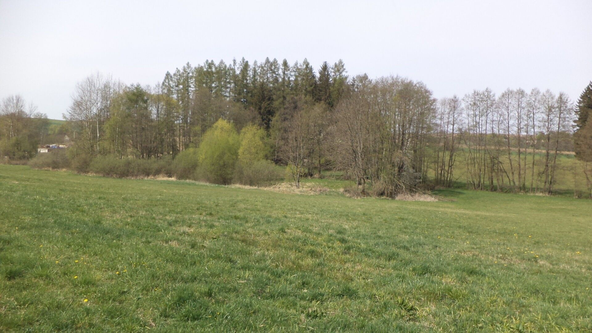 Prodej zemědělský pozemek - Mezno Stupčice, 8 388 m² - 5