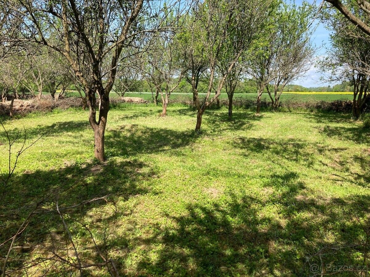 Prodej zahrada - Olomouc, 779 00