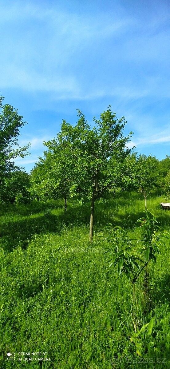 Prodej pozemek pro bydlení - Brumovice na Moravě, 691 11