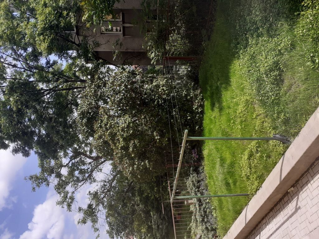 Prodej byt 1+kk - V Horní Stromce, Vinohrady, 24 m² - 5