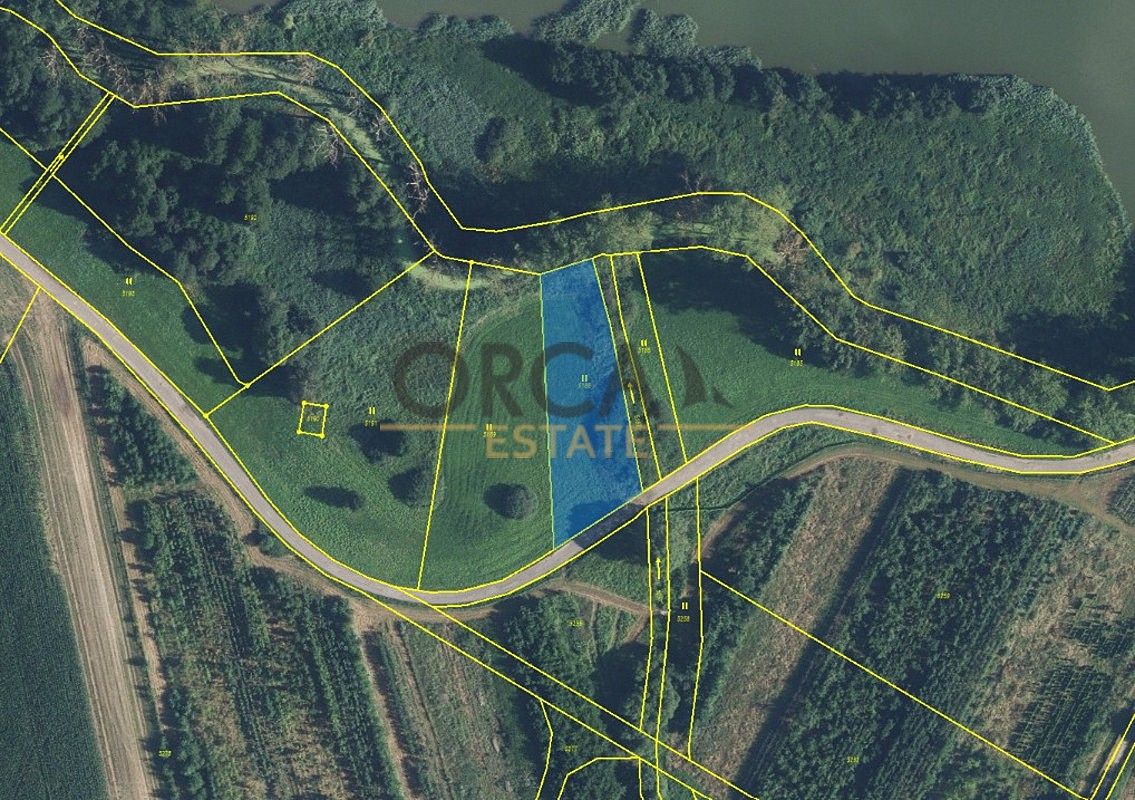 Prodej louka - Třebařov, okres Svitavy, Pardubický kraj - 1