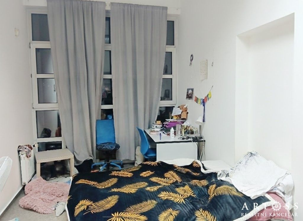 1+kk, Palackého třída, Brno, 15 m²