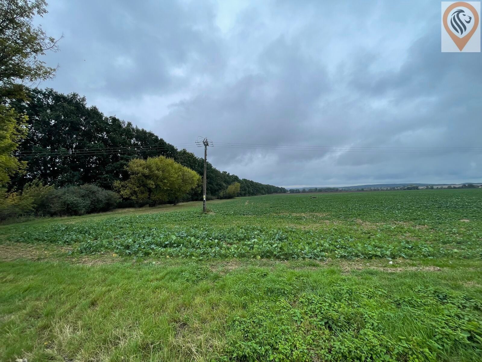 Zemědělský pozemek · 7 001 m² · Úhonice - 3