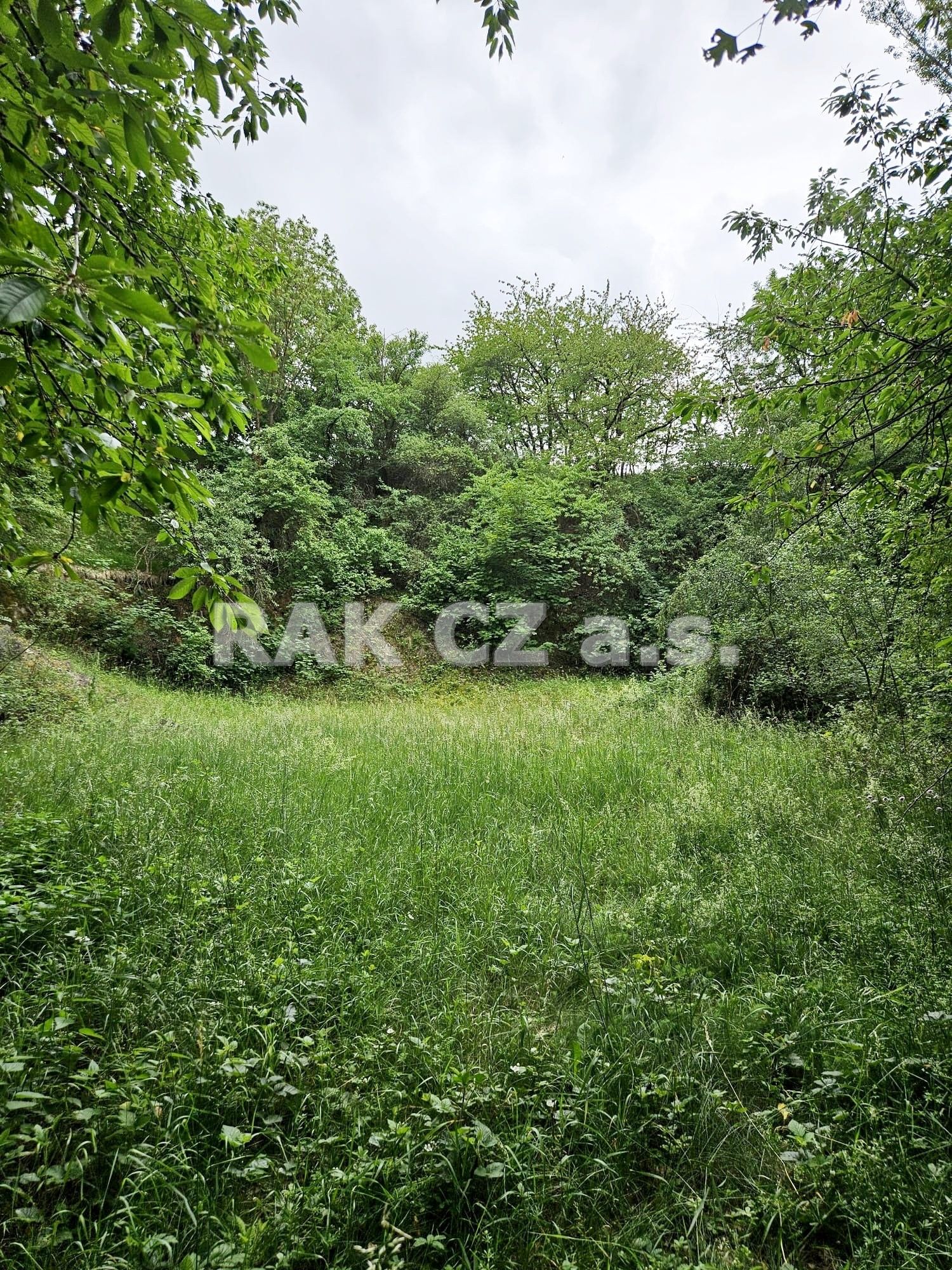 Pozemek · 47 568 m² · Černíky - 4