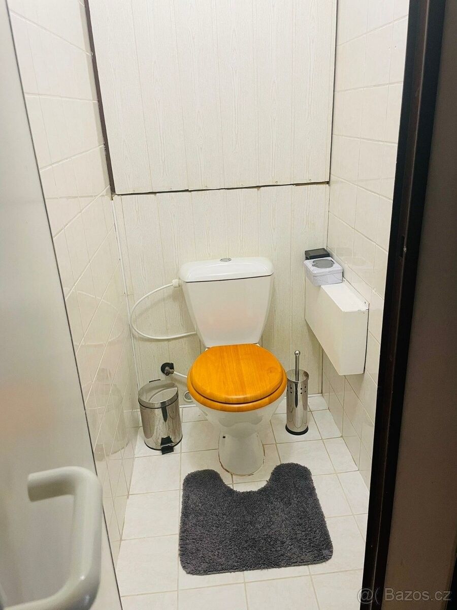 Pronájem byt - Bechyně, 391 65