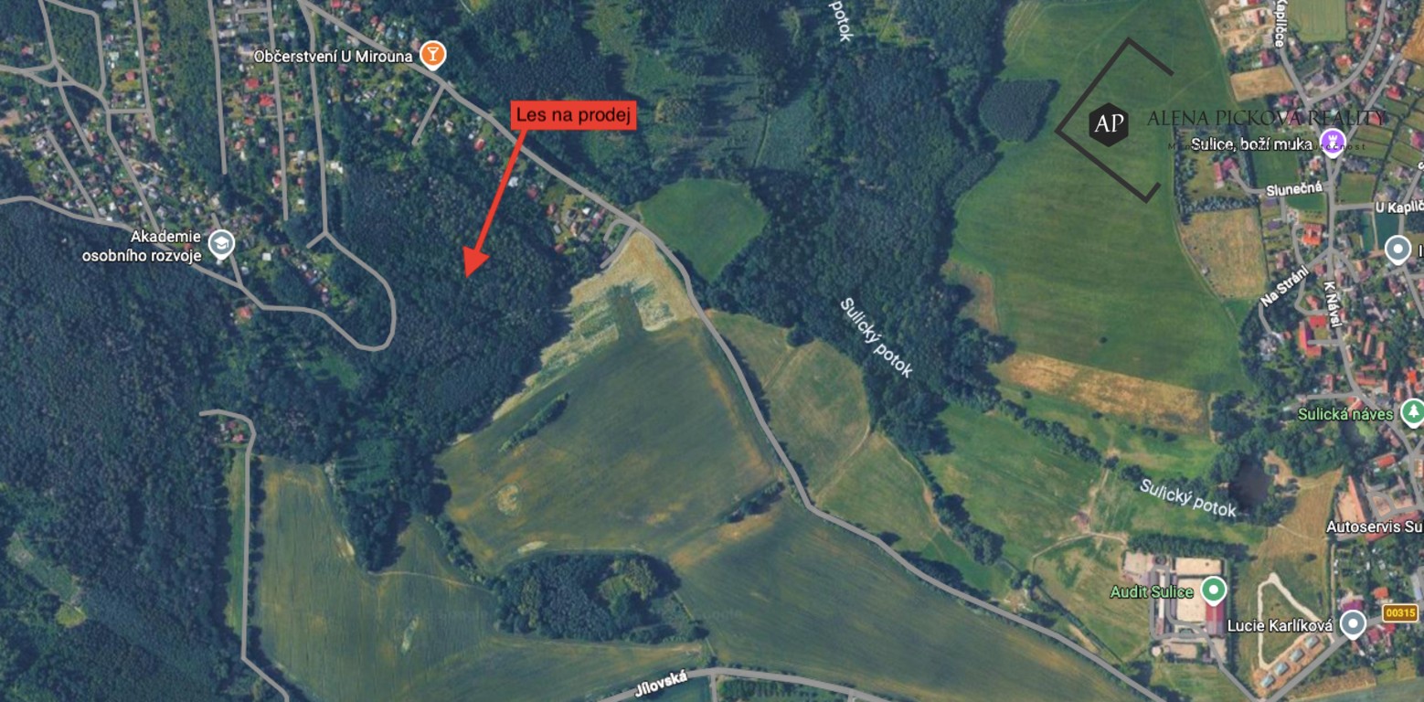 Lesy, Psáry, 17 703 m² - 1