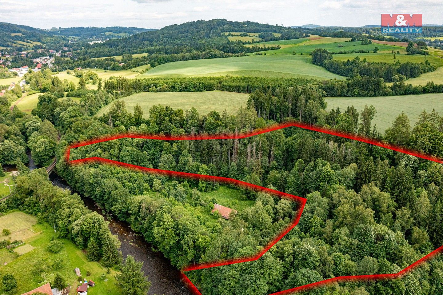 Les · Peřimov, okres Semily, Liberecký kraj - 2