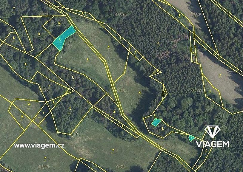 Les · Horní Habartice, okres Děčín, Ústecký kraj - 2