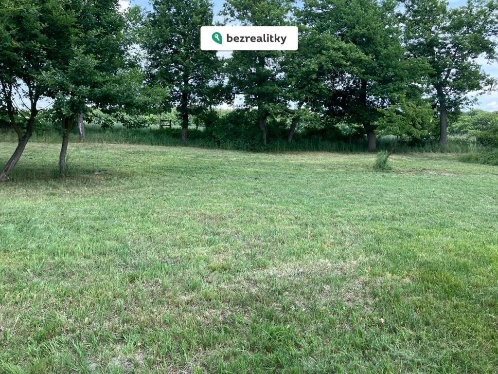 Prodej les - Tuřice