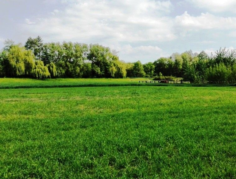 Pozemky pro bydlení, Mohelnice, 789 85