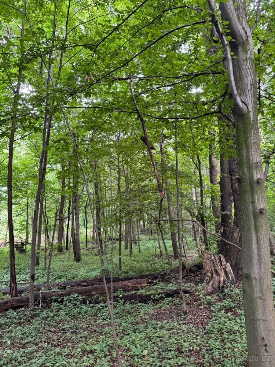 Pozemky pro bydlení, Staříč, 739 43