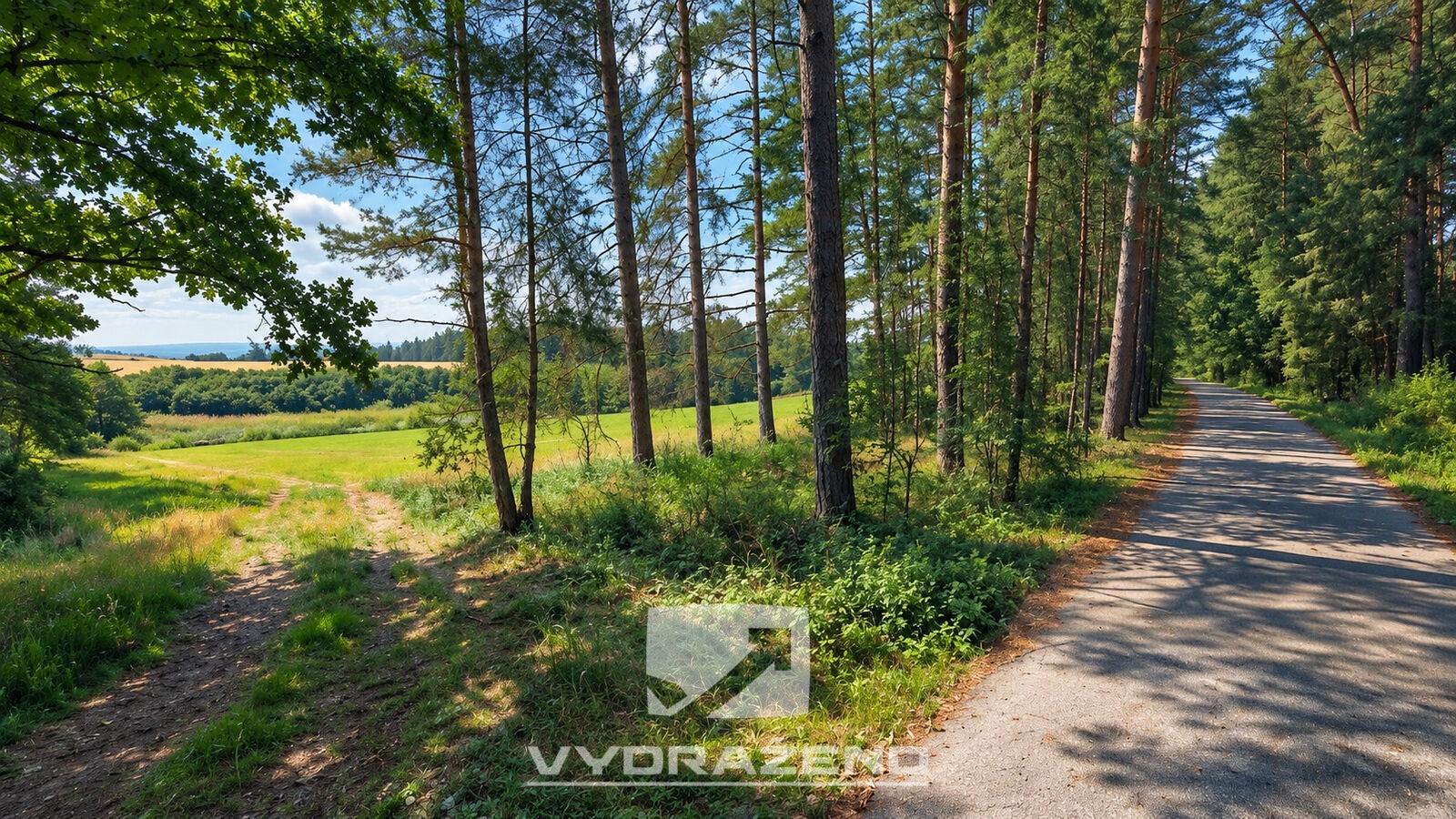 Louka · 1 726 m² · Chrášťany - 3