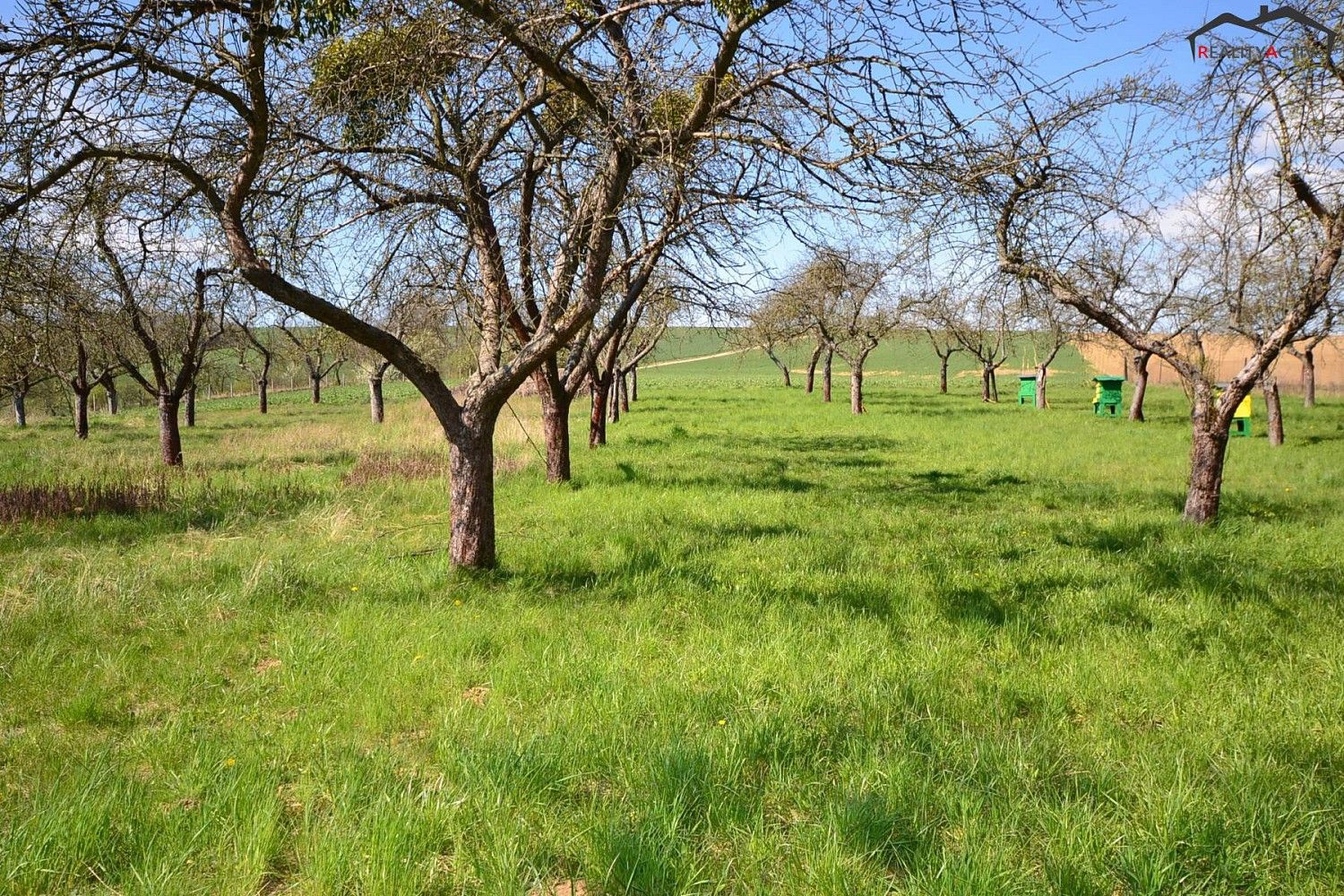 Zahrada · Bučovice - Kloboučky, okres Vyškov, Jihomoravský kraj - 3