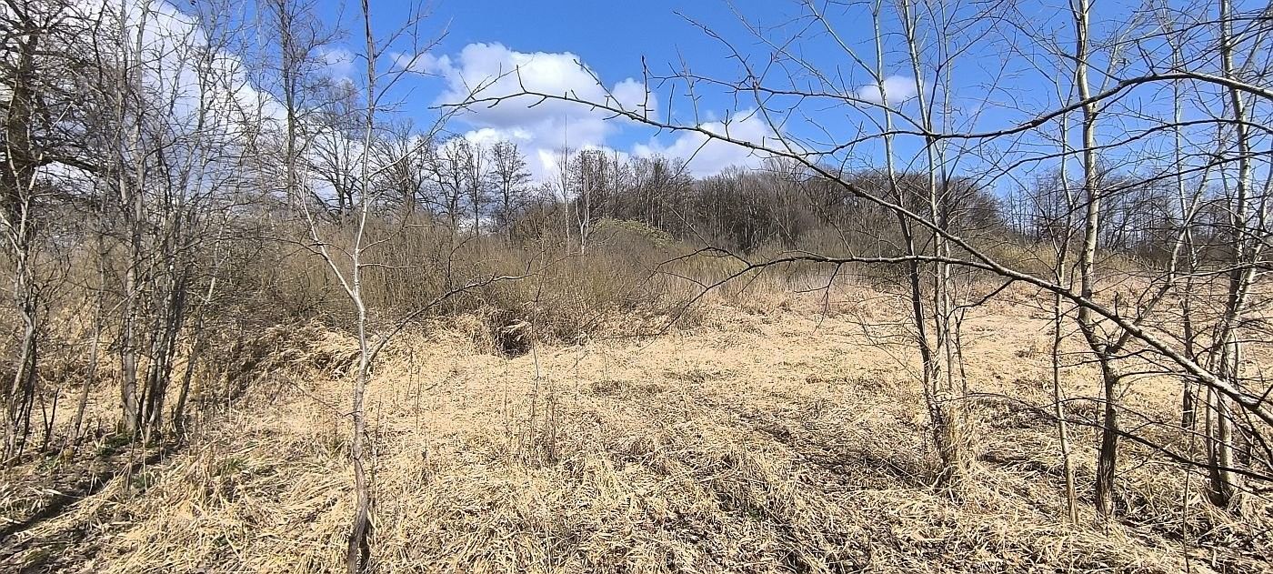 Prodej zemědělský pozemek - Anglická, Františkovy Lázně - 5