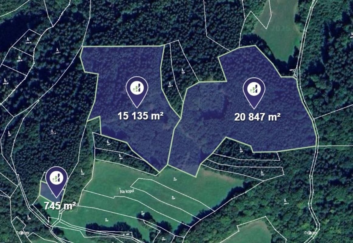 Prodej les - Prlov - 5