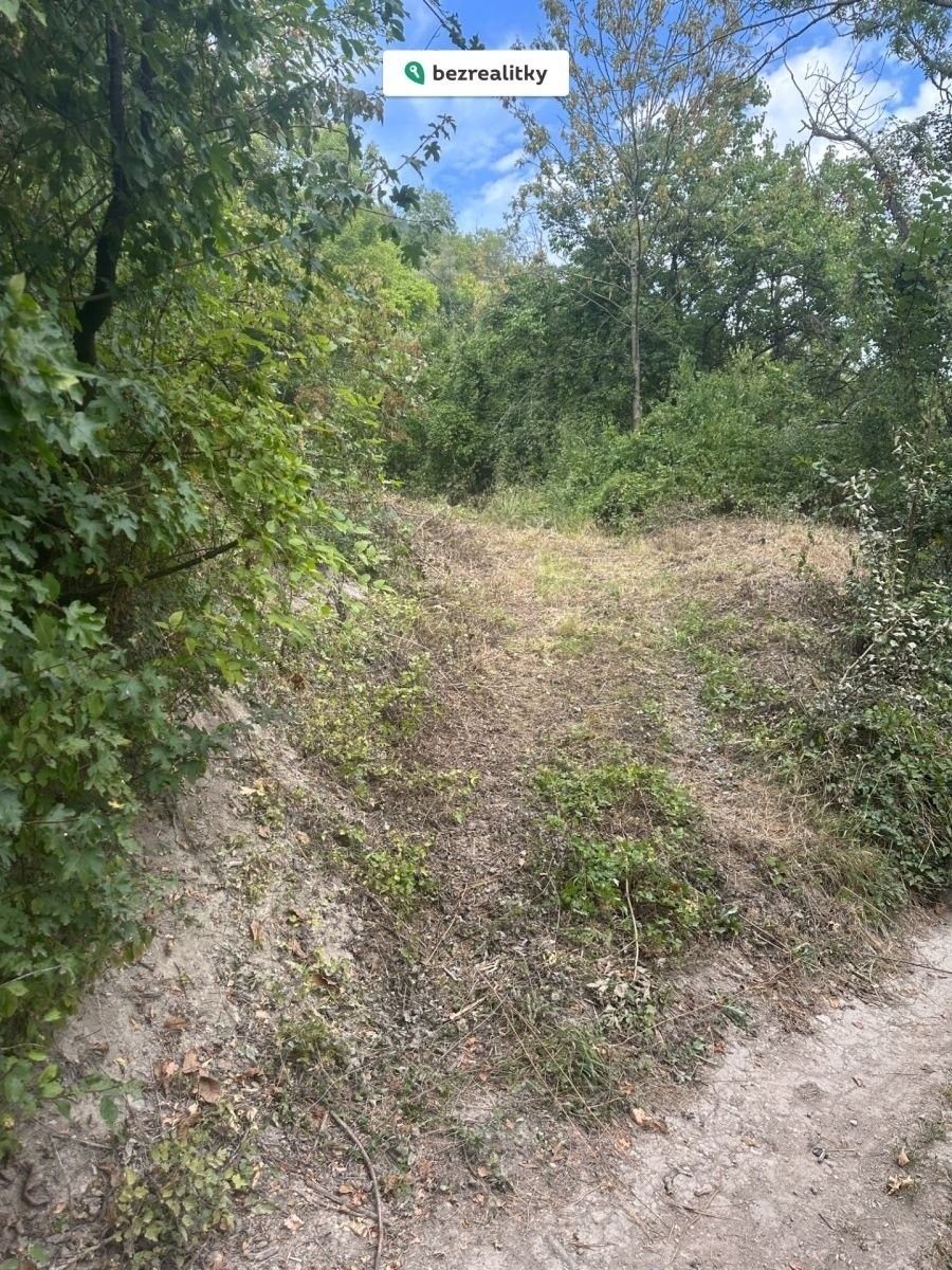 Prodej pozemek - Hoštka