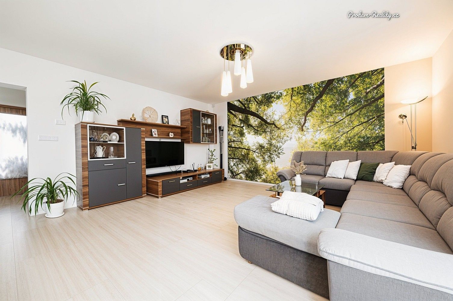Rodinný dům · 149 m² · Sadová, Pohořelice, okres Brno-venkov - 4