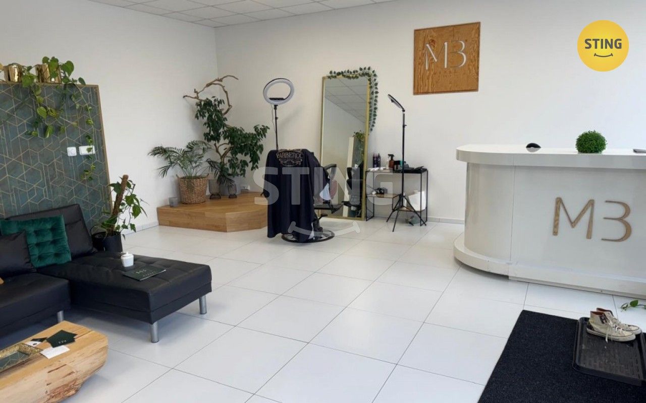 Ostatní, Hrnčířská, Hlučín, 10 m²