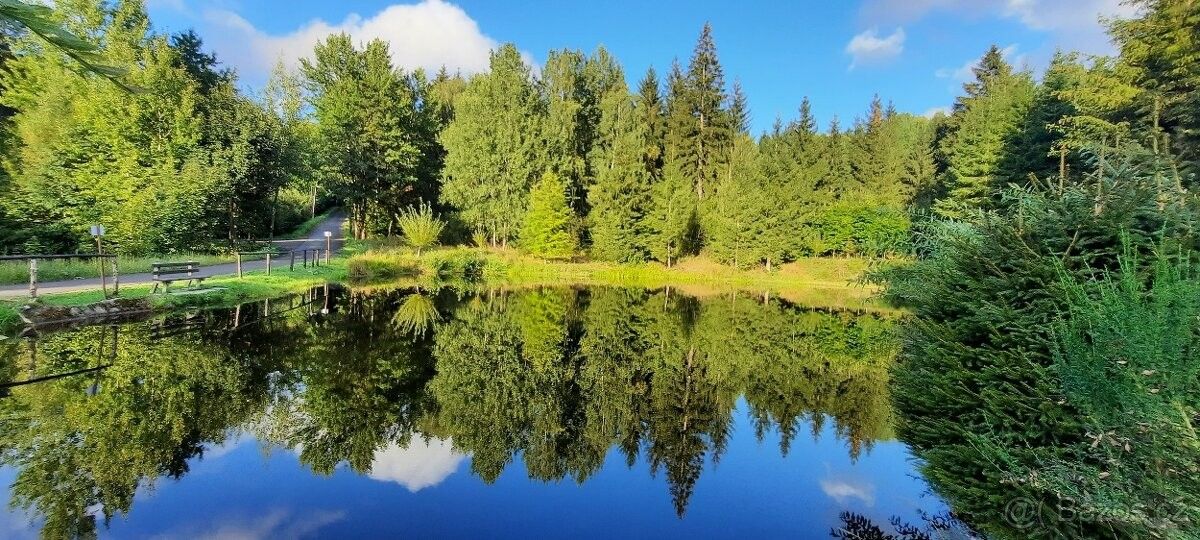 Pozemky pro bydlení, Desná v Jizerských horách, 468 61