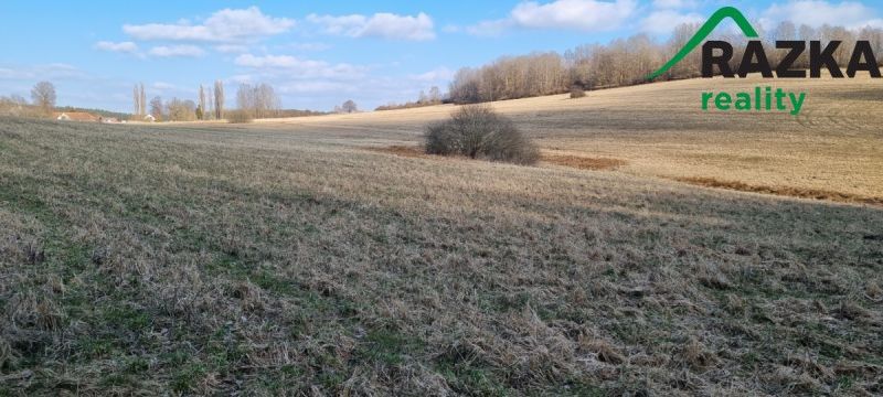 Zemědělské pozemky, Halže - 2