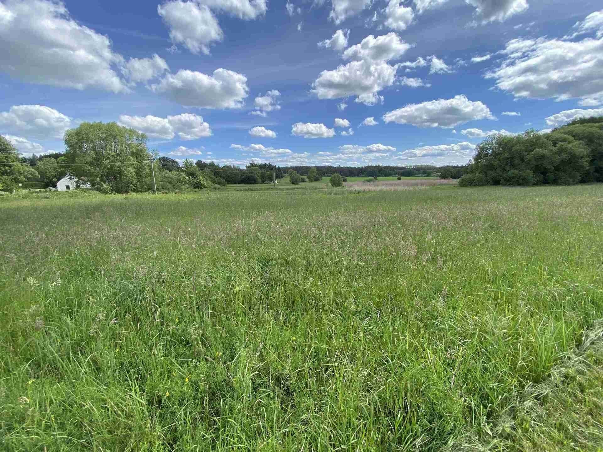 Pozemek pro bydlení · 3 058 m² · Slavonice - 3