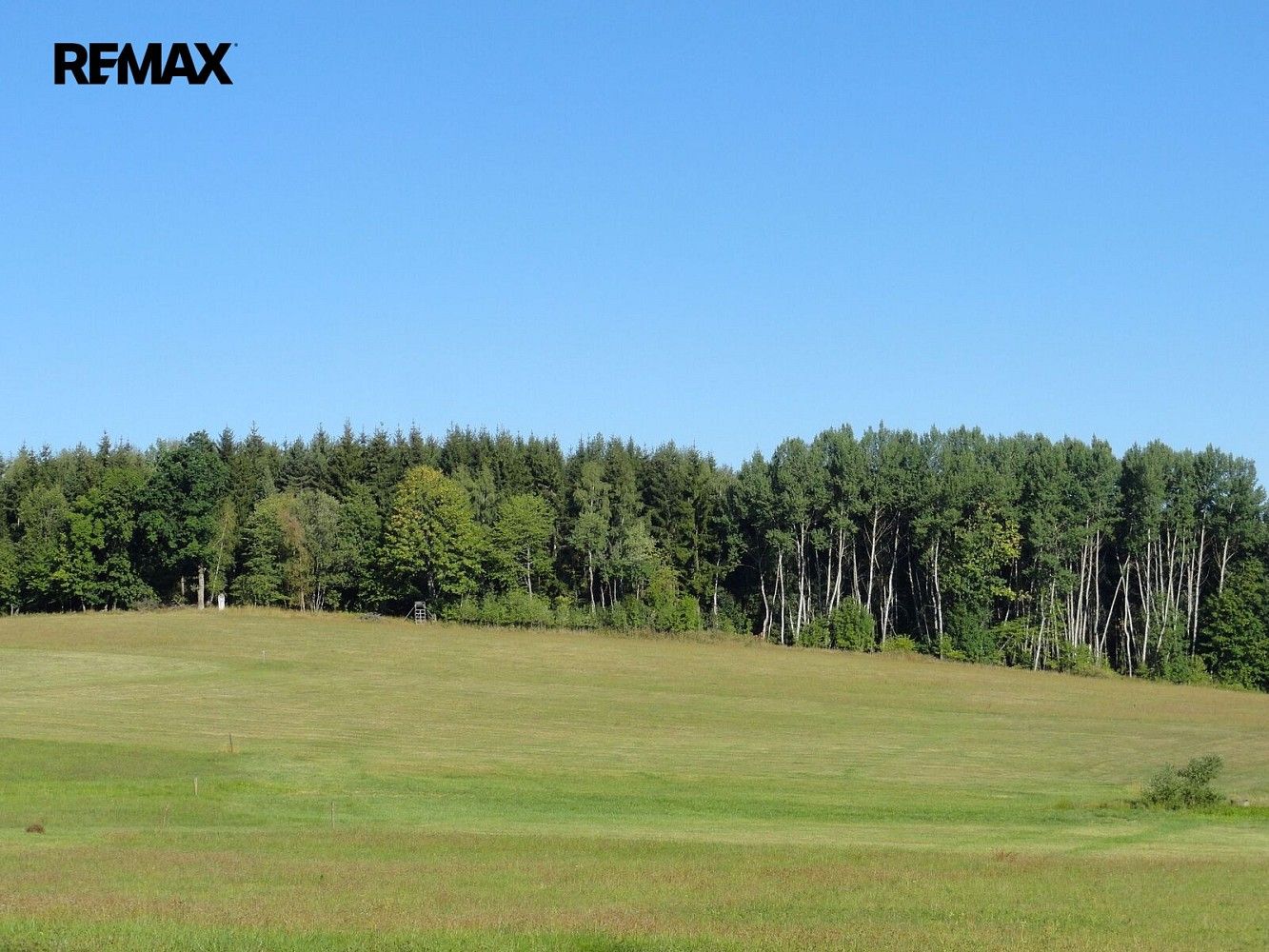 Les · Hlavňovice, okres Klatovy, Plzeňský kraj - 3