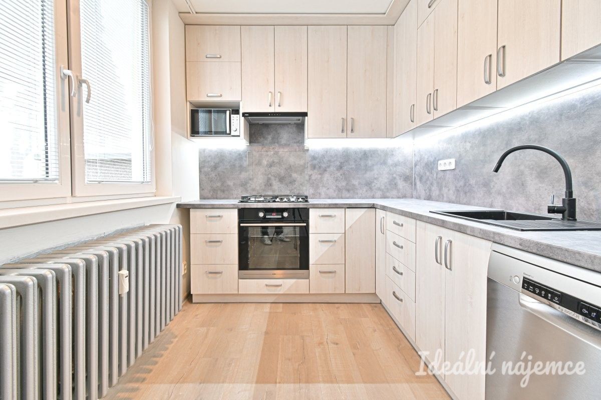 Pronájem byt 1+1 - Trpínky, Vyškov, 41 m²