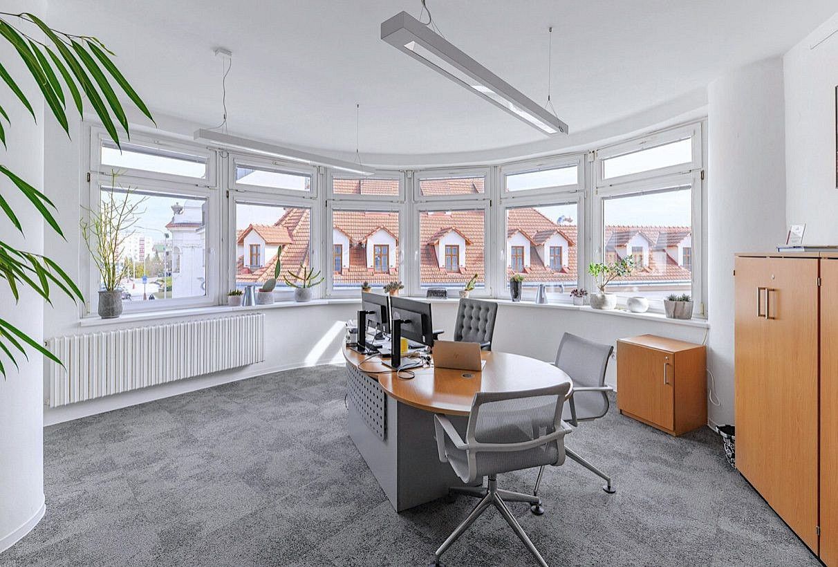 Obchodní prostory · 317 m² · Mladá Boleslav, Středočeský kraj - 3