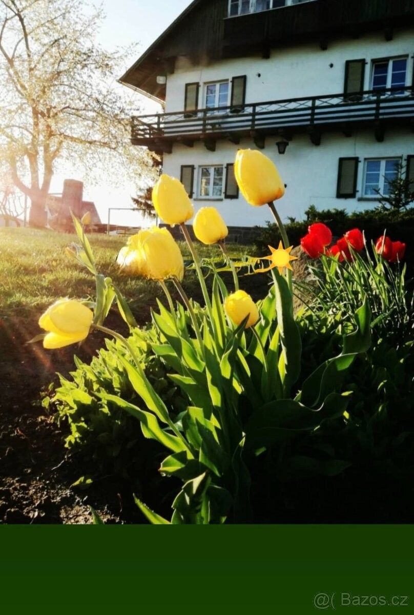 Byty, Planá u Mariánských Lázní, 348 15
