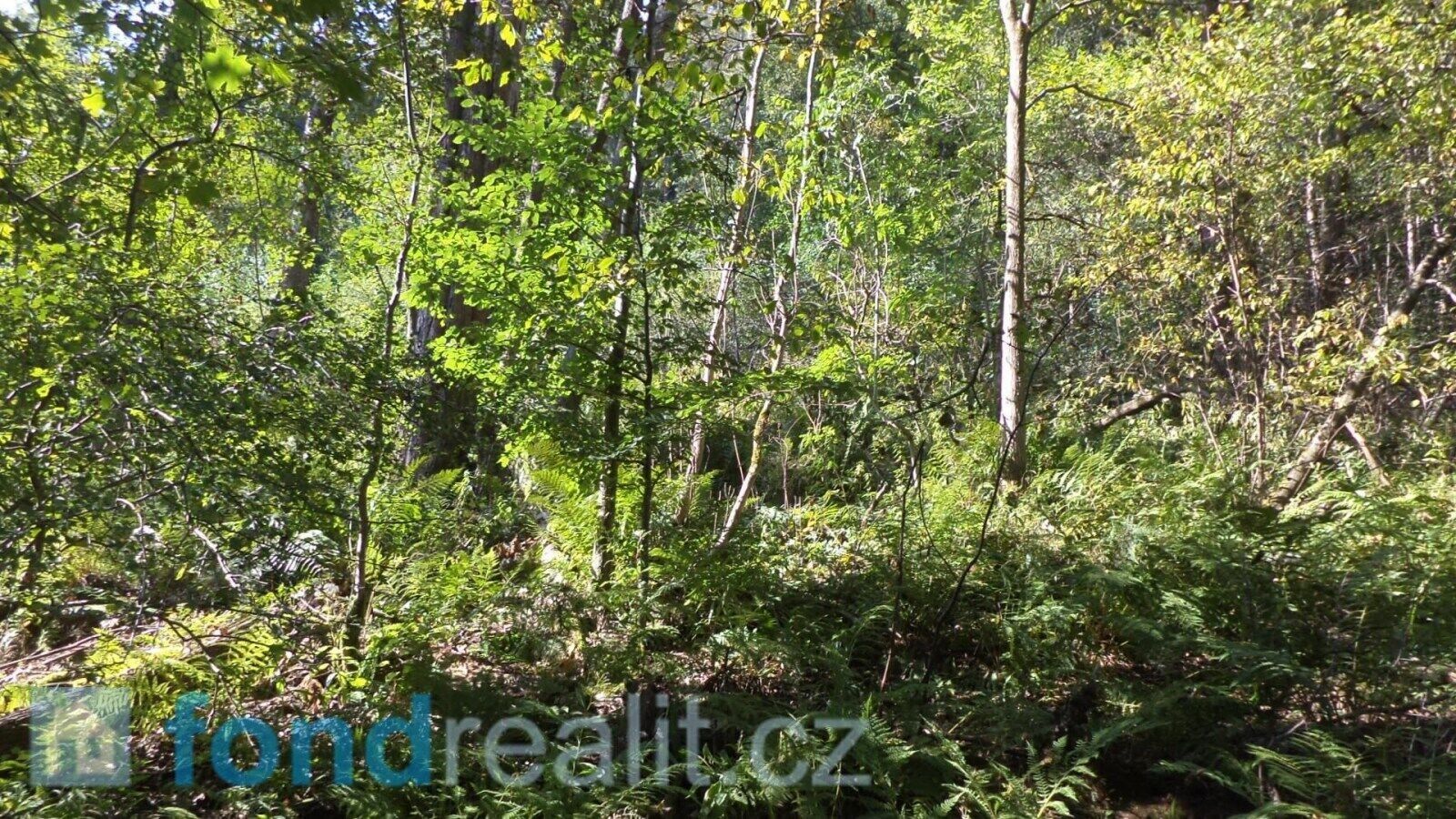 Prodej zemědělský pozemek - Roztoky u Semil, 15 m²