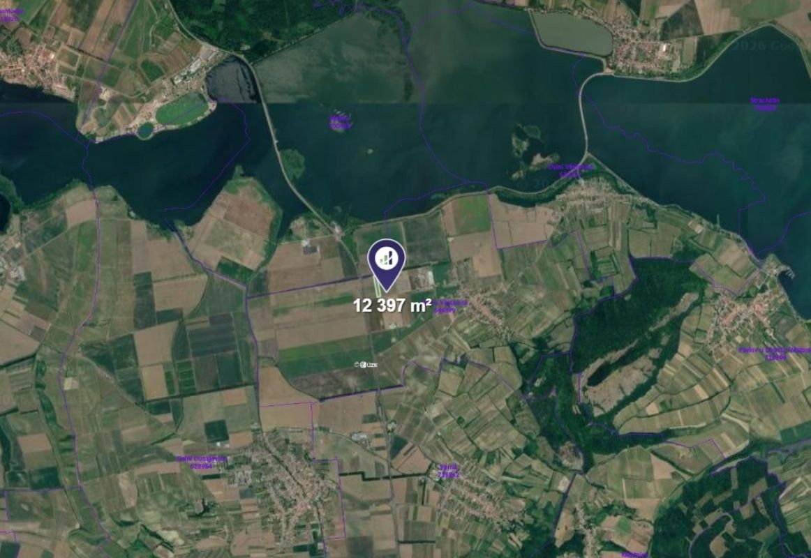 Zemědělské pozemky, Horní Věstonice, 12 397 m² - 2