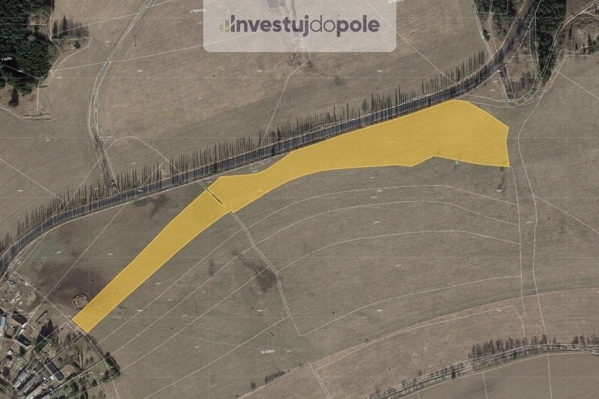 Prodej zemědělský pozemek - Toužim