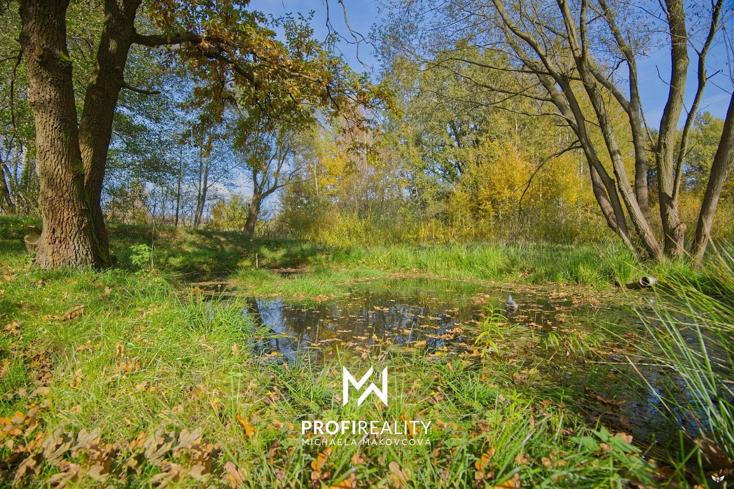 Prodej zahrada - Liberec, Liberecký kraj - 5
