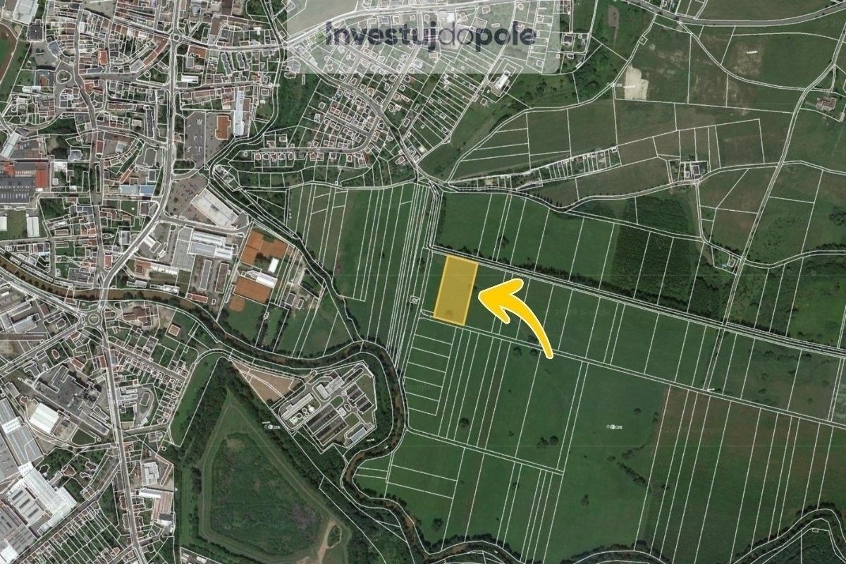 Prodej louka - Dvůr Králové nad Labem, 9 953 m²