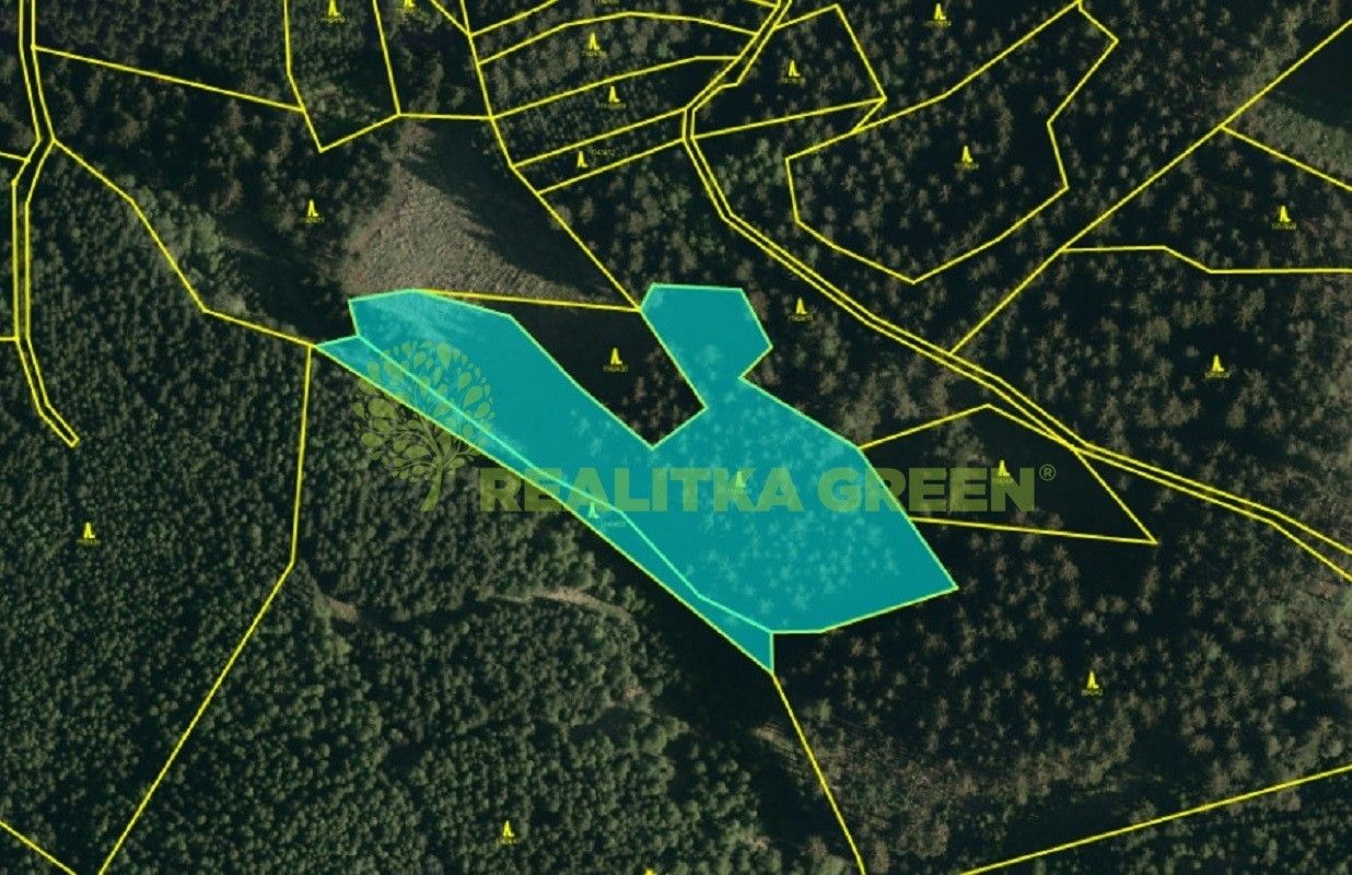 Lesy, Hovězí, 9 912 m²