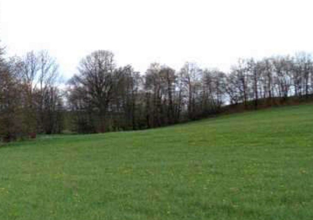 Louka · Melč, okres Opava, Moravskoslezský kraj - 3