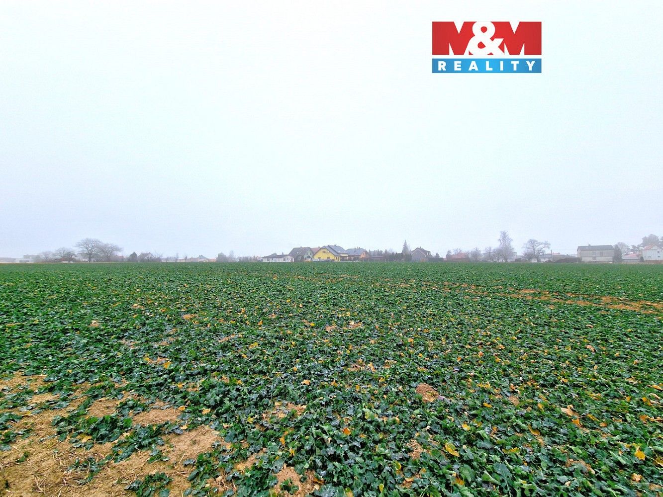 Pozemky pro bydlení, Štěpánkovice, okres Opava, Moravskoslezský kraj - 1