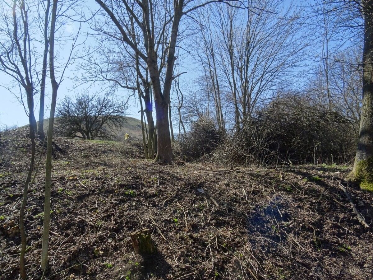 Pozemky pro bydlení, Libčeves, 439 26