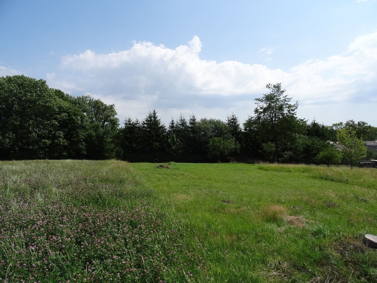 Prodej pozemek pro bydlení - Jihlava Pístov, 3 573 m² - 5